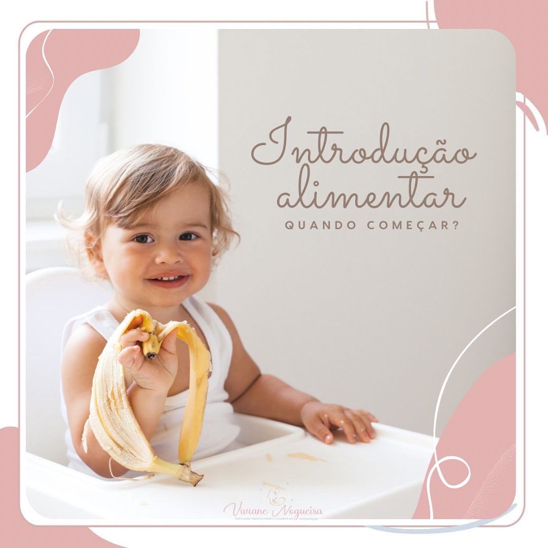 introdução alimentar