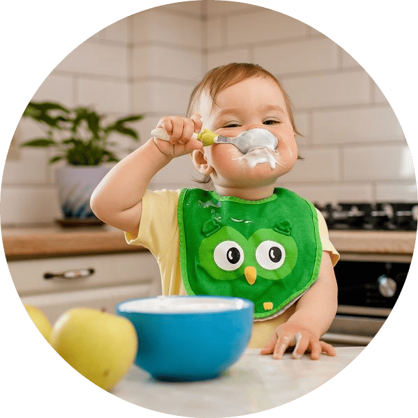 curso introdução alimentar