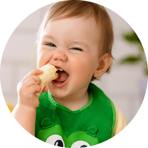 curso introdução alimentar